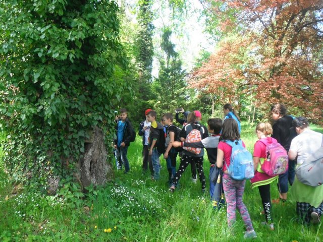 Výlet do Valašského Meziříčí