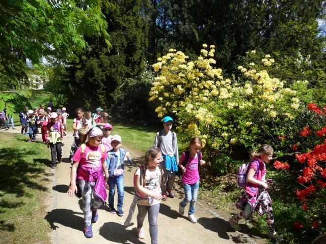 Výlet do Valašského Meziříčí