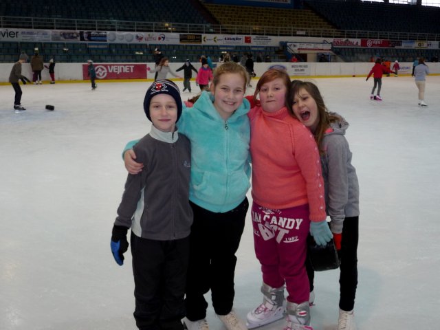 Brusliči a brusličky