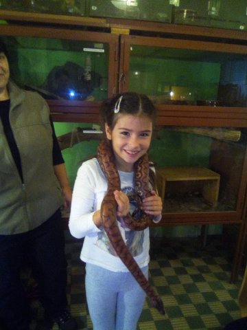 Třeťáci u zvířat