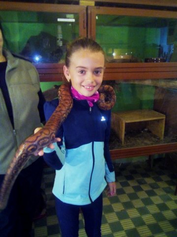 Třeťáci u zvířat