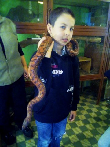 Třeťáci u zvířat