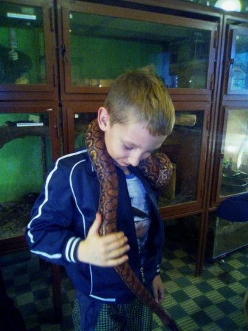 Třeťáci u zvířat