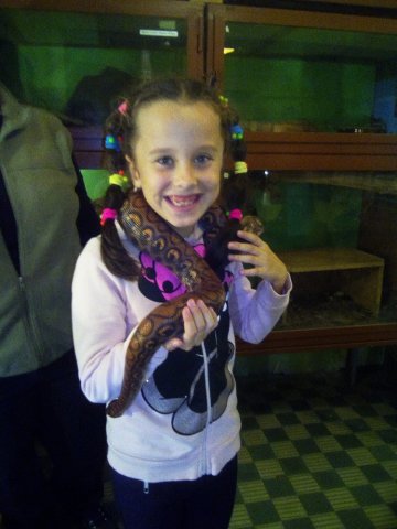 Třeťáci u zvířat