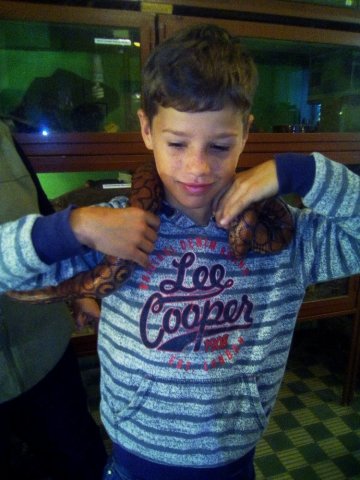 Třeťáci u zvířat