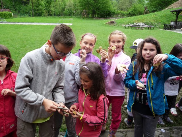 Hledání zlaťáků