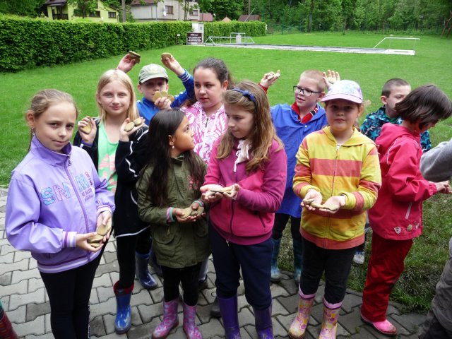 Hledání zlaťáků