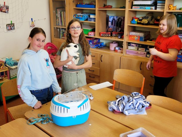 Jaro - 1. oddělení