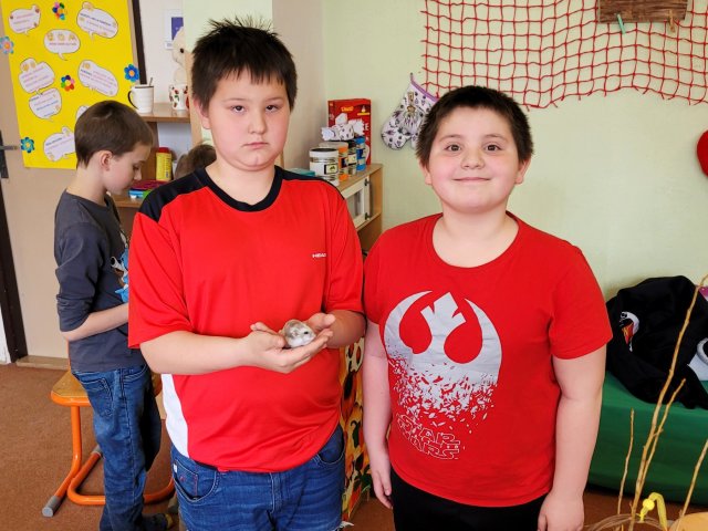 Jaro - 1. oddělení