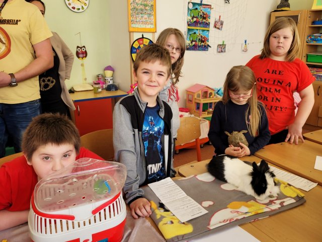 Jaro - 1. oddělení