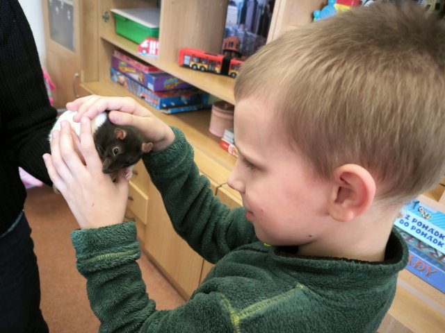 Jaro - 1. oddělení