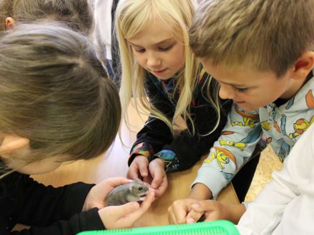 Zvířata ve škole
