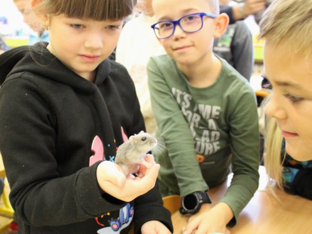Zvířata ve škole