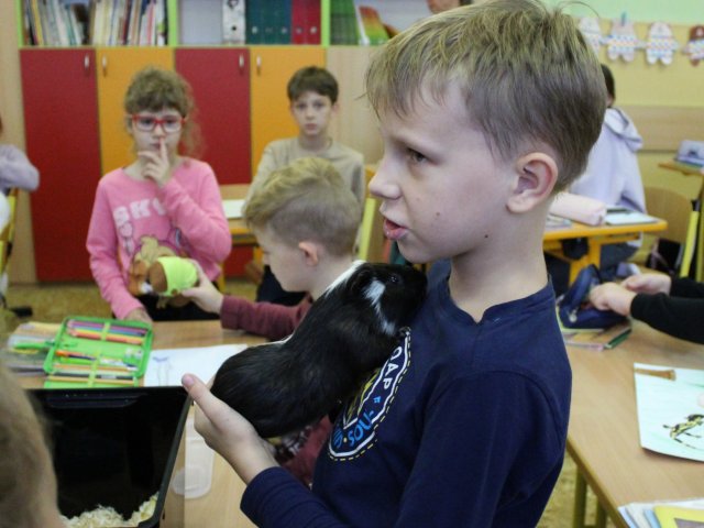 Zvířata ve škole