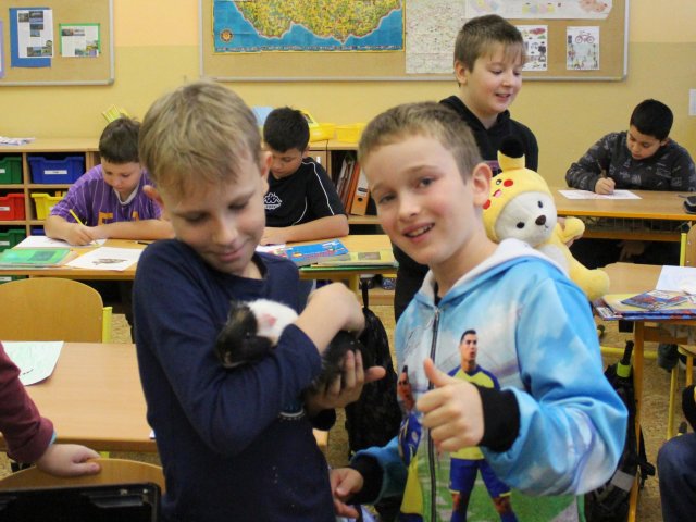 Zvířata ve škole
