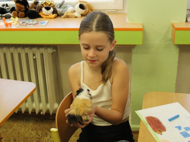 Zvířata ve škole