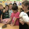 Zvířata ve škole
